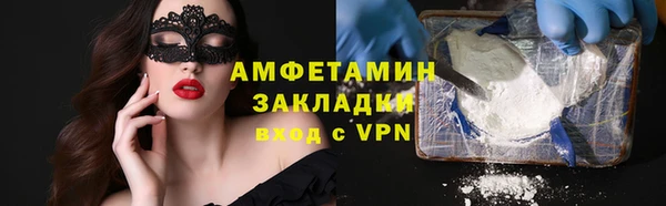 индика Снежногорск